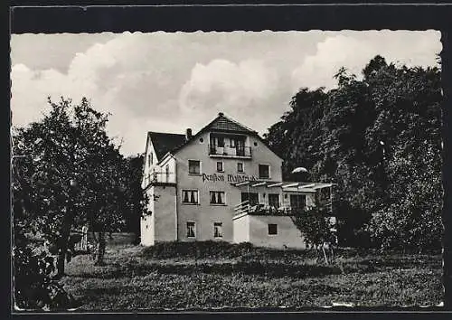 AK Weiten-Gesäss bei Michelstadt, Pension Waldfriede