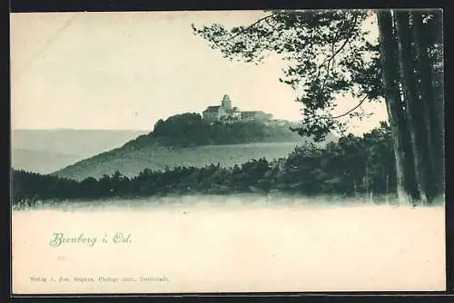 AK Breuberg i. Od., Panorama mit Schloss