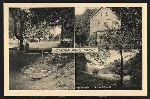 AK Krebshagen, Stadthagen-Land, Pension Adolf Hasse, Schwefelquelle, Waldpartie