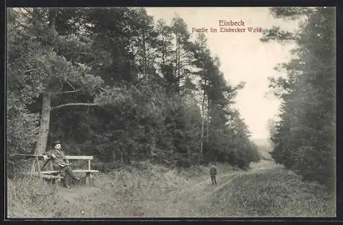 AK Einbeck, Partie im Einbecker Wald