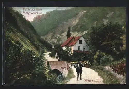 AK Bingen a. Rh., Partie aus dem Morgenbachtal
