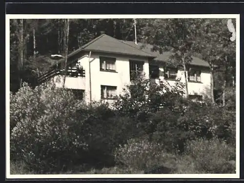 AK Volkesfeld / Mayen, Pony-Hof Schieck