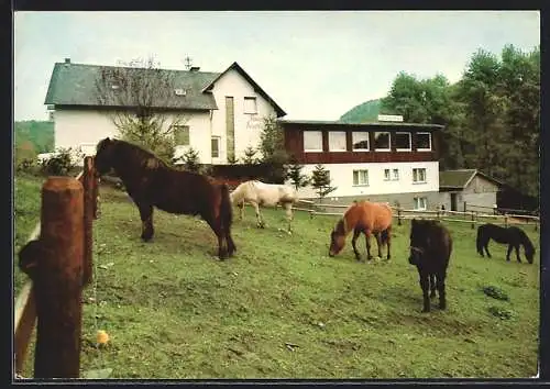 AK Riedener Mühlen / Eifel, Hotel-Restaurant Forsthaus