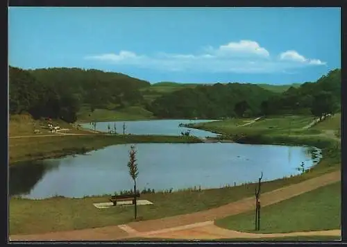 AK Rieden / Eifel, Waldsee-Panorama