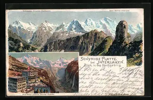 Künstler-AK C. Steinmann Nr. 2085: Interlaken, Schynige Platte mit Blick in das Hochgebirge