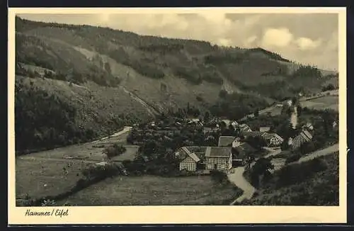 AK Hammer / Eifel, Ortsansicht aus der Vogelschau