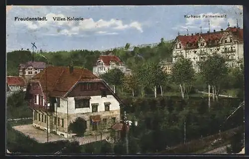 AK Freudenstadt, Villen-Kolonie und Kurhotel Palmenwald