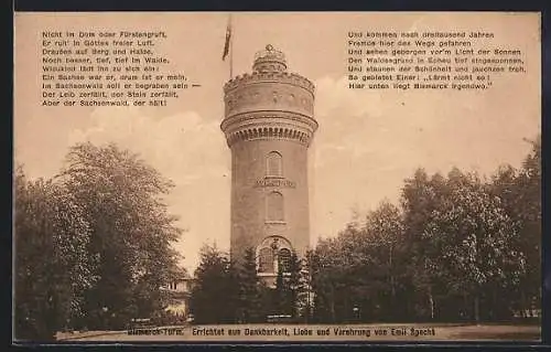 AK Sachsenwald-Hofriede, Bismarck-Turm