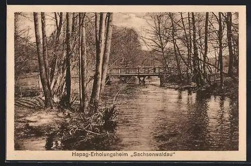 AK Sachsenwaldau, Hapag-Erholungsheim, Brücke im Wald