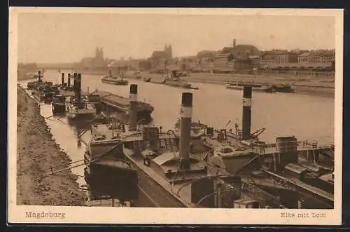 AK Magdeburg, Elbe mit Dom und vielen Dampfern