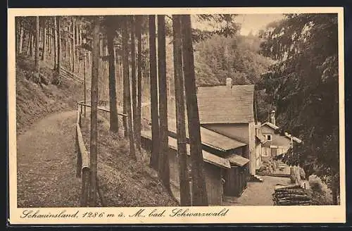 AK Oberried / Schwarzwald, Waldhaus-Pension Schauinsland