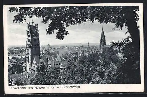 AK Freiburg / Schwarzwald, Schwabentor und Münster