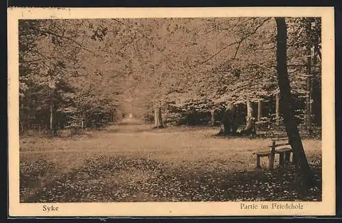 AK Syke, Partie im Friedeholz