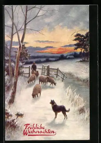 Künstler-AK Raphael Tuck & Sons Nr. 9552: Schäfer mit Schafen und Hund, Weihnachtsgruss
