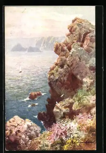 Künstler-AK Raphael Tuck & Sons Nr. 7069: Old Lizard Head