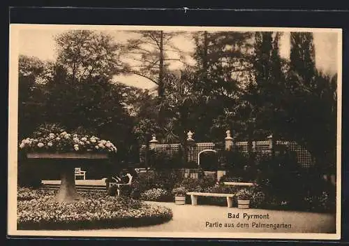 AK Bad Pyrmont, Partie aus dem Palmengarten