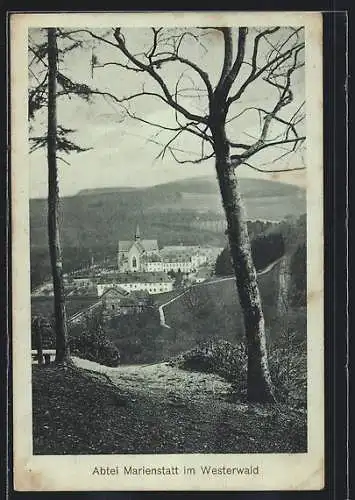 AK Marienstatt / Westerwald, Blick auf die Abtei