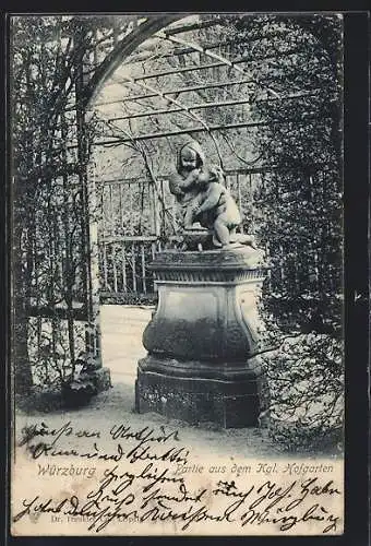 AK Würzburg, Partie aus dem Königlichen Hofgarten