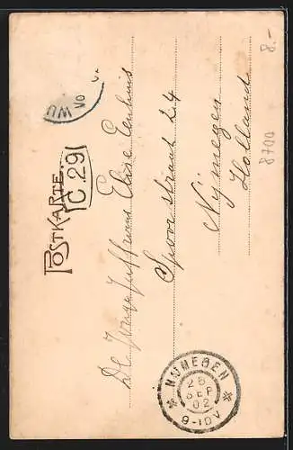 AK Würzburg, Das Rathaus mit Grafen Eckhardturm