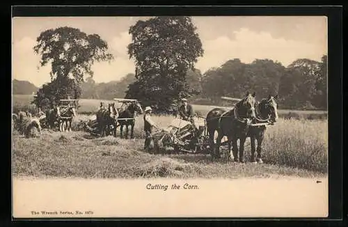 AK Cutting the Corn, Bauern mit Pferdegespannen auf dem Getreidefeld