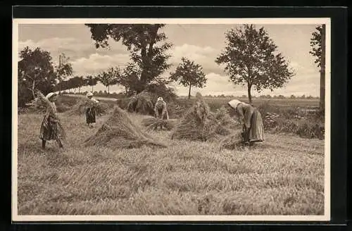 AK Bäuerinnen bei der Heuernte