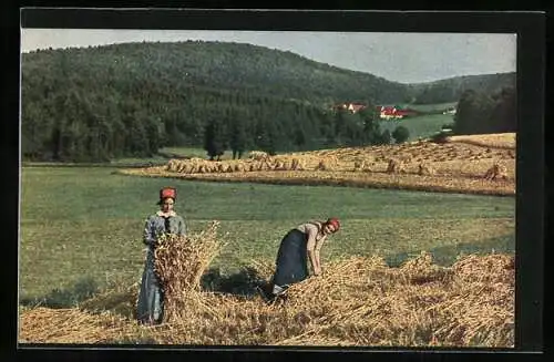 AK Bäuerinnen bei der Getreideernte