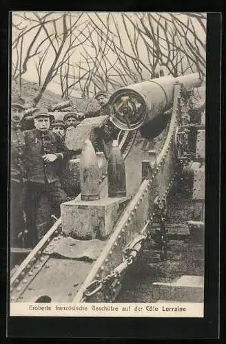 AK Eroberte französische Geschütze auf der Cote Lorraine
