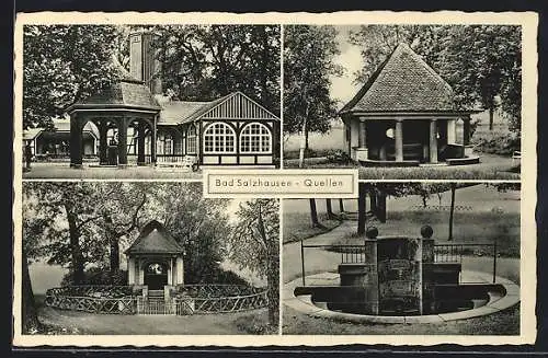 AK Bad Salzhausen, Ansichten der Quellen