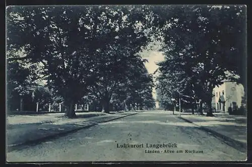 AK Langebrück, Linden-Allee am Kurhaus