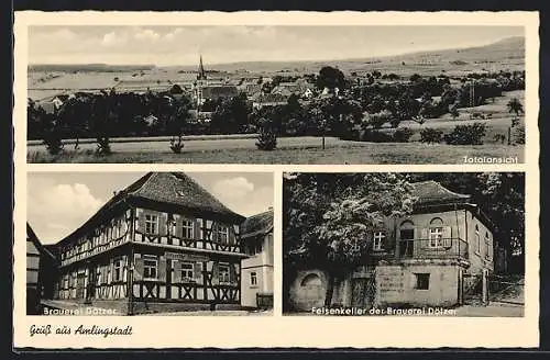 AK Amlingstadt, Brauerei Dötzer, Felsenkeller, Totalansicht