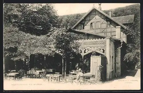 AK Springe, Gasthaus Deisterpforte, Garten im Sonnenschein