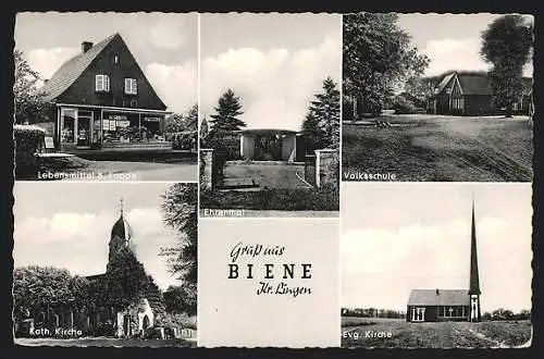 AK Biene / Lingen, Lebensmittel B. Foppe, Volksschule, Kirchen, Ehrenmal