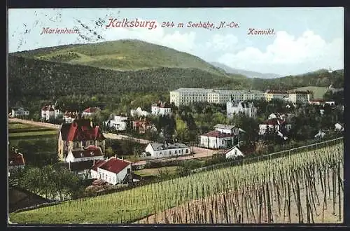 AK Wien-Kalksburg, Gesamtansicht mit Marienheim & Konvikt