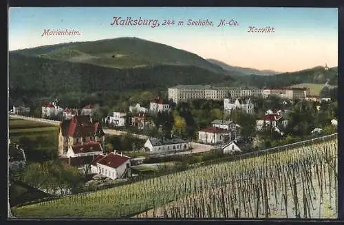 AK Wien-Kalksburg, Gesamtansicht mit Marienheim & Konvikt