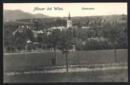 AK Wien, Mauer, Panorama