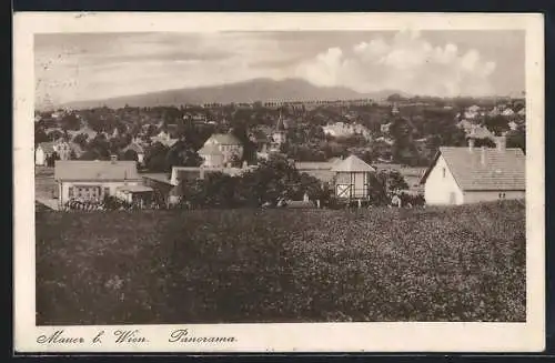 AK Wien, Mauer, Panorama von der Bergwiese aus