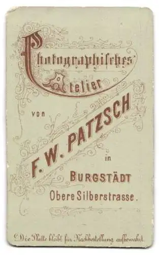 Fotografie F. W. Patzsch, Burgstädt, Obere Silberstrasse, Bürgerlicher mit Vollbart und Fliege