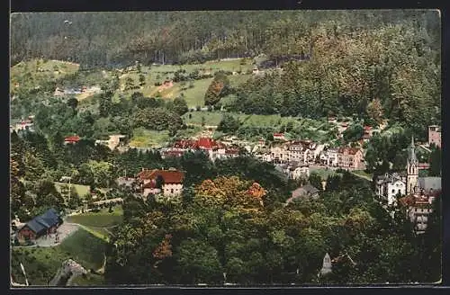 AK Wildbad / Schwarzwald, Häuser an der Olgastrasse aus der Vogelschau