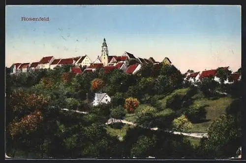 AK Rosenfeld / Württ., Blick auf den Ort