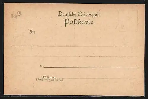 Lithographie Münster / Westfalen, Schloss, Dom, Rathaus