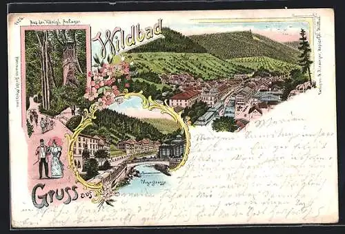 Lithographie Wildbad / Schwarzwald, Olgastrasse und Partie in den Königl. Anlagen