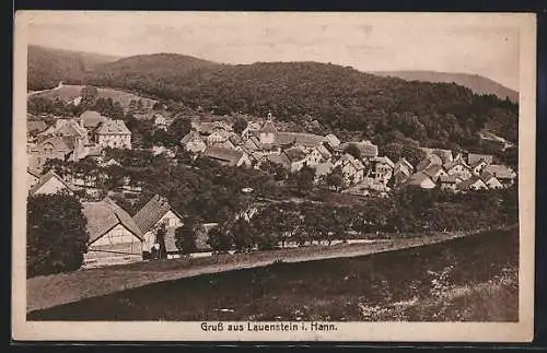 AK Lauenstein / Hannover, Blick nach dem Ort