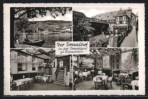 AK Rüdesheim / Rhein, Gasthaus Drosselhof in der Strasse Drosselgasse, Innenansichten