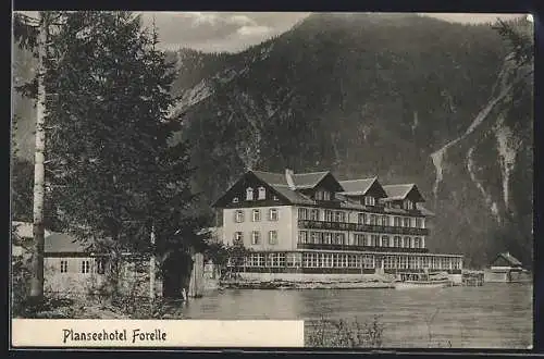 AK Plansee, Planseehotel Forelle