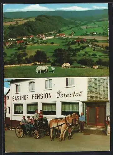 AK Reichelsheim / Odenwald, Gasthof-Pension Ostertal