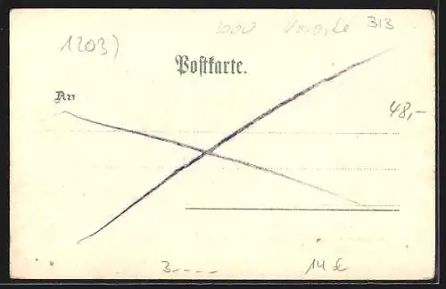 Lithographie Linden / Hannover, Neuer Markt, Marktbrunnen, Rathaus, Pferdekutschen