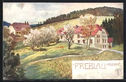 Künstler-AK Bad St. Leonhard im Lavanttal, Preblau mit Meierhof