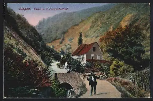 AK Bingen / Rhein, Partie im Morgenbachtal mit Haus