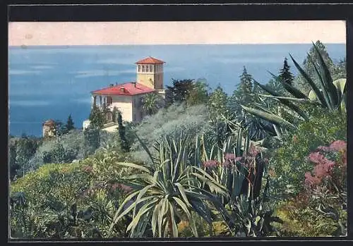 AK Ventimiglia, La Mortola, Villa Hanbury