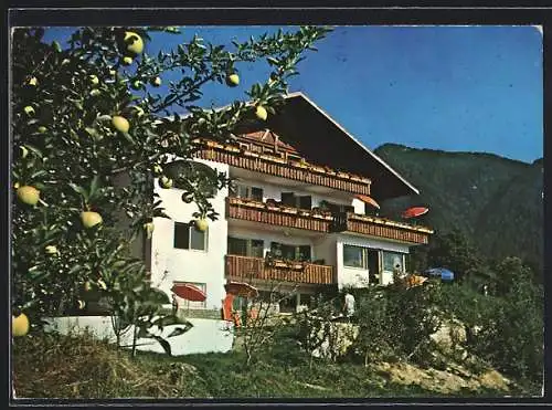 AK Schenna /Meran, Pension Graf Hartwig, St. Georgenstr.38 b, Terrasse vorm Haus